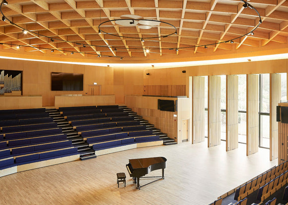 Acoustic Wood